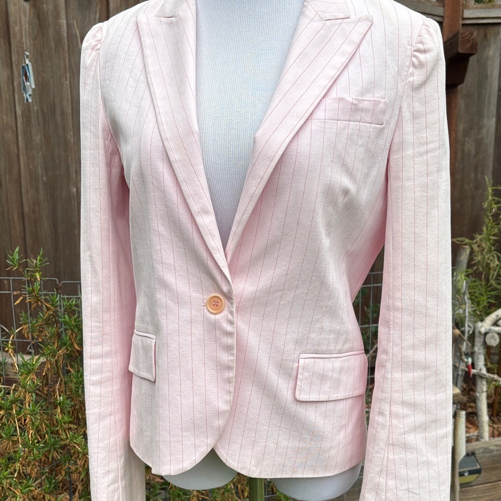 Theory Pink Blazer